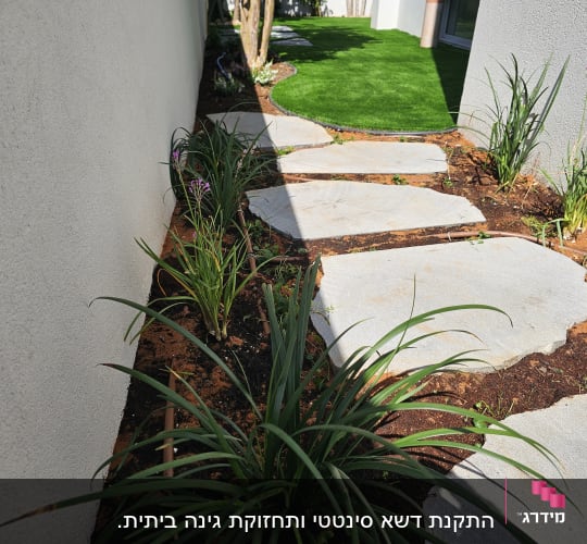 שביל אבנים בגינה עם צמחים ירוקים מסביב